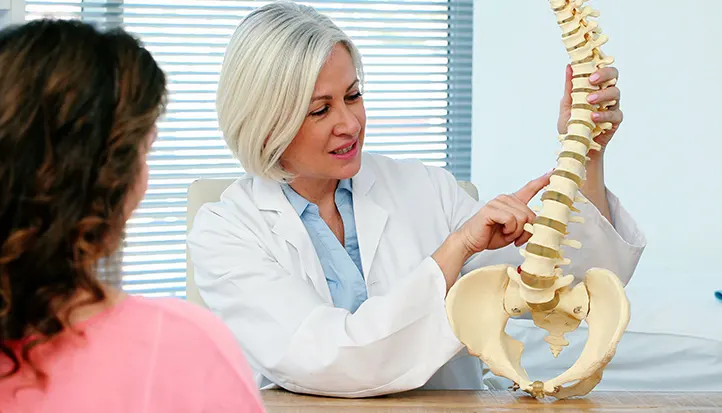 spinal cord